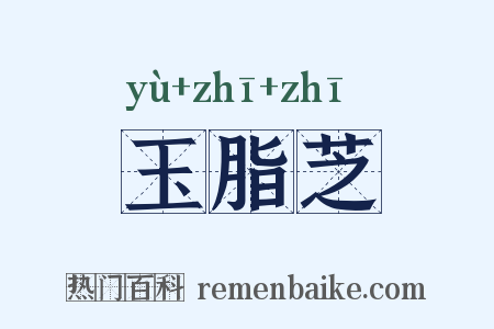 玉脂芝是什么意思的图片